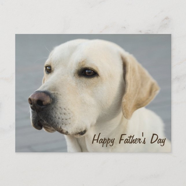 Carte Postale Fête des pères photo Golden Labrador Retriever (Devant)