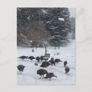 Carte Postale Fête d'hiver PC rassemblement réunion rencontre am