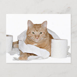 Carte Postale fête sauvage