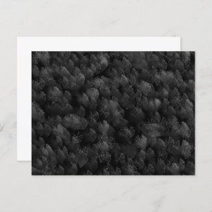 Carte Postale Feu D'Artifice Gris Noir Et Coloré Afficher Abstra