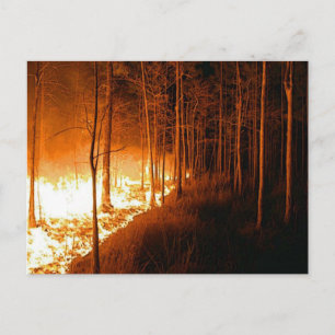 Carte Postale Feu de feu