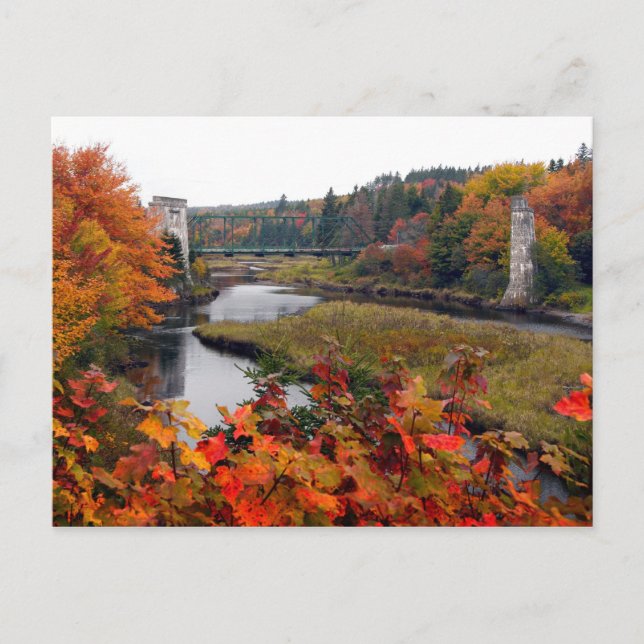Carte Postale Feuillage d'automne (Devant)