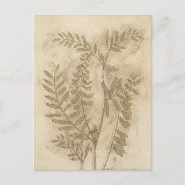 Carte Postale Feuillage doré I (Devant)