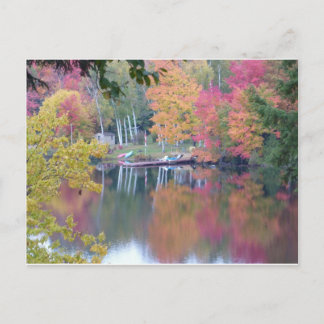 Carte Postale Feuille coloré par automne