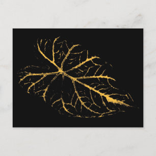 Carte Postale Feuille d'art 26