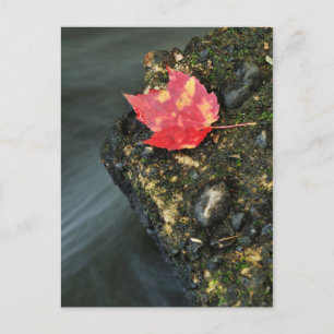 Carte Postale Feuille d'automne