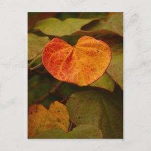 Carte postale Feuille d'automne en forme de coeur