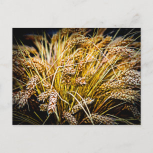 Carte Postale Feuille De Blé - Merci