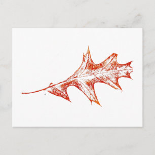 Carte postale "Feuille de chêne en rouge"