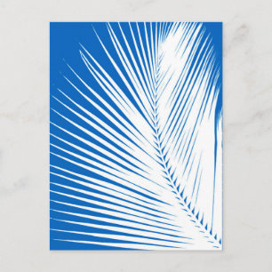 Carte Postale Feuille de palme - blanc sur bleu cobalt