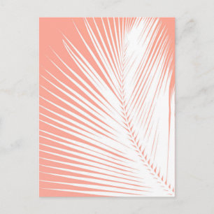 Carte Postale Feuille de palme - blanc sur corail rose