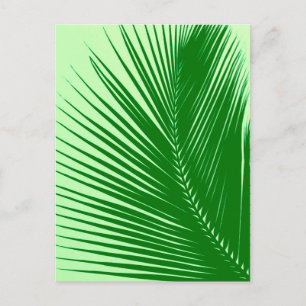 Carte Postale Feuille de palme - émeraude et vert citron