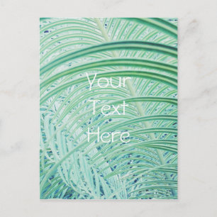 Carte Postale Feuille de palme Plante verte douce