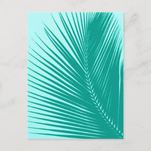 Carte Postale Feuille de palme - Turquoise et aqua