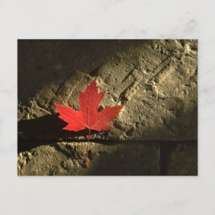 Carte Postale Feuille d'érable du Canada