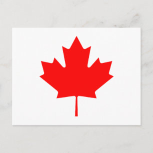 Carte Postale Feuille d'érable RedTransp les cadeaux de Zazzle