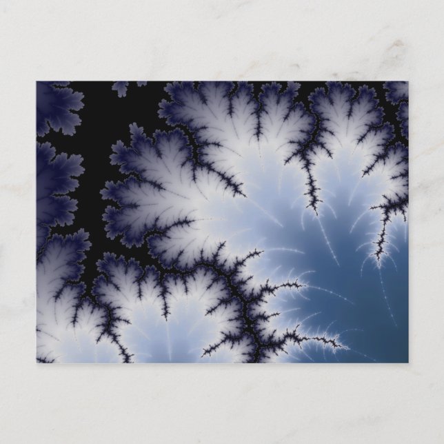 Carte Postale Feuille d'hiver (Devant)