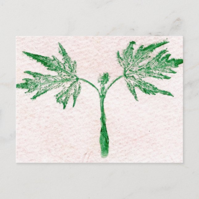 Carte postale "Feuille d'hiver #3" (Devant)