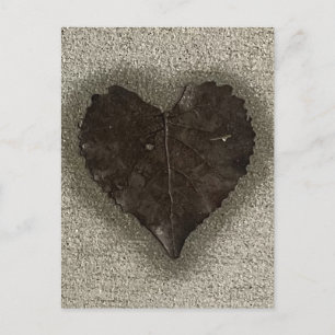 Carte Postale Feuille en forme de cœur mouillée sur le trottoir 