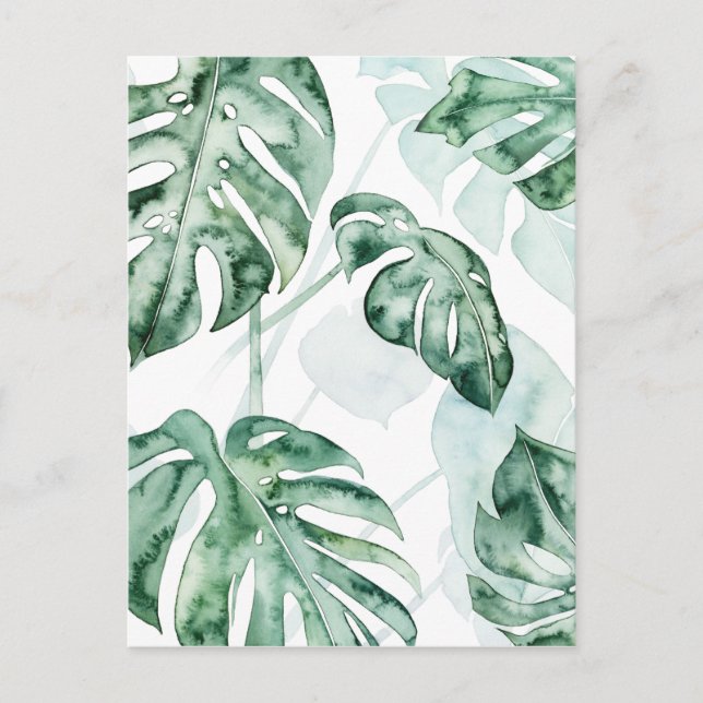 Carte Postale Feuille fractionnée de palme tropicale (Devant)