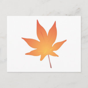 Carte Postale Feuille orange de flamme