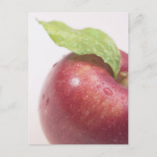 Carte Postale Feuille verte rouge Apple