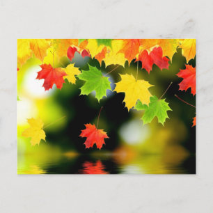 Carte Postale Feuilles automnales