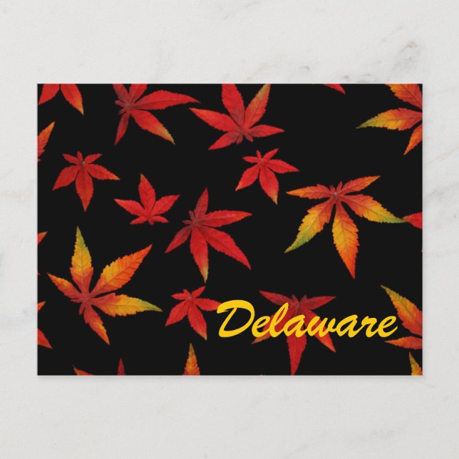 Carte postale Feuilles Automne Delaware (Devant)