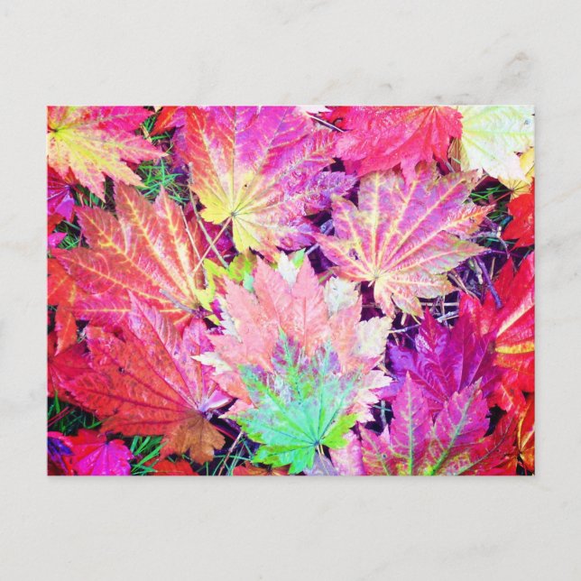 Carte Postale Feuilles d'automne (Devant)