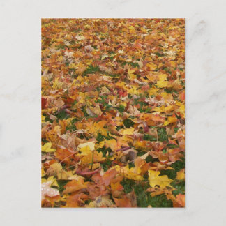 Carte Postale Feuilles d'automne