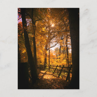 Carte Postale Feuilles d'automne