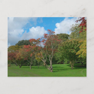 Carte Postale Feuilles d'automne