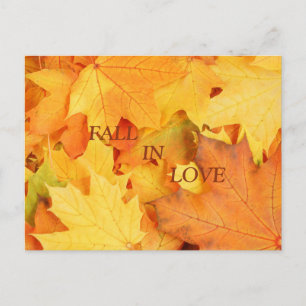 Carte Postale Feuilles d'automne
