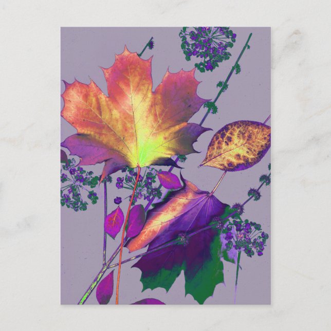 Carte Postale Feuilles d'automne à Lilac (Devant)