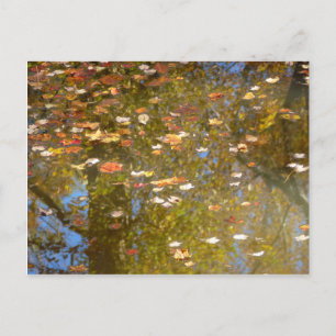Carte Postale Feuilles d'automne et reflet du ruisseau à Greenbe