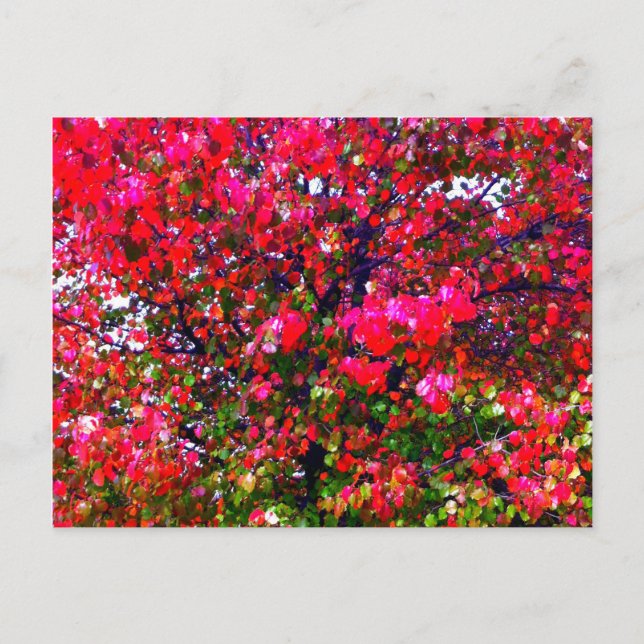 Carte Postale Feuilles d'automne rose impressionniste (Devant)