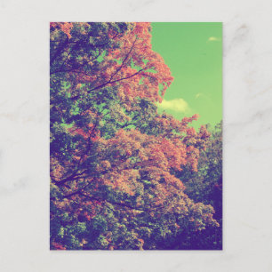 Carte Postale Feuilles d'automne vintages