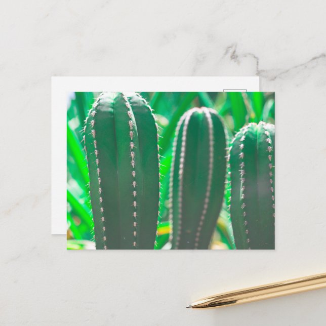 Carte Postale Feuilles de cactus vert pastel (Devant/Arrière en situation)