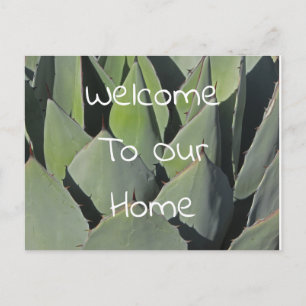 Carte Postale Feuilles de l'Agave Vert de Bienvenue Photo Sud-Ou