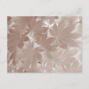 Carte Postale Feuilles de l'érable d'automne