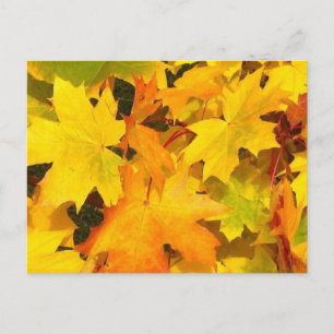 Carte Postale Feuilles de l'érable d'automne aux couleurs d'auto