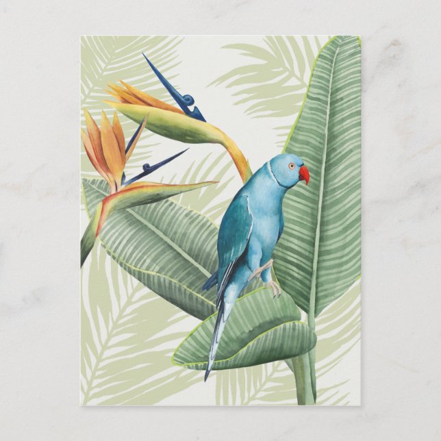 Carte Postale Feuilles De Palme Avec Oiseau Bleu (Devant)