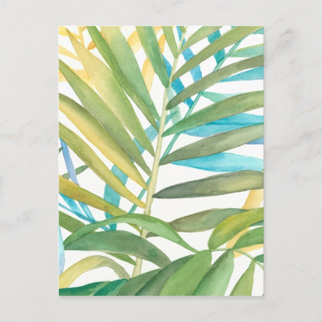 Carte Postale Feuilles de palmiers tropicaux (Devant)