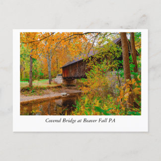 Carte Postale Feuilles d'or et beauté intemporelle : Beaver Fall