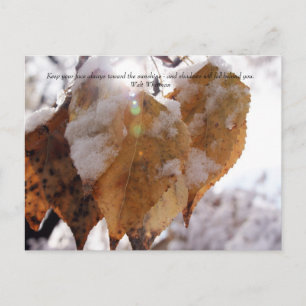 Carte Postale Feuilles en automne avant l'automne