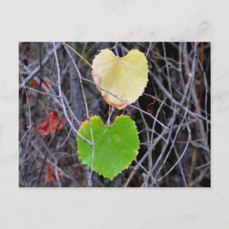 Carte Postale Feuilles en forme de coeur