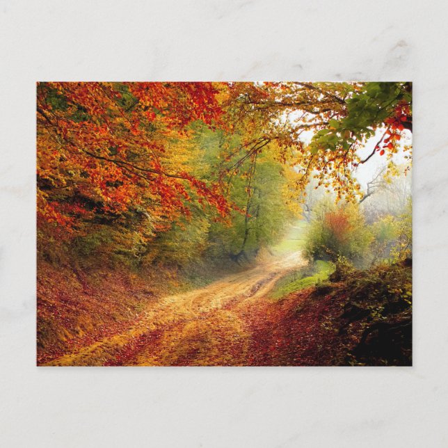 Carte Postale Feuilles et arbres d'automne couvrant Dirt Road (Devant)