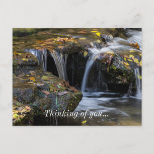 Carte Postale Feuilles Et Cascades