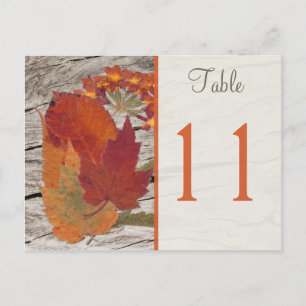Carte Postale Feuilles et fleurs d'automne séchées Numéro de tab