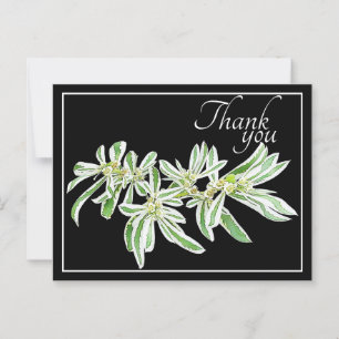 Carte Postale Feuilles Vertes & Blanches Fond Noir Merci